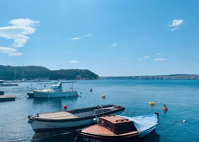 Veliki Apartman Barbara S Jacuzzijem Za Dvoje- Hreljin Rijeka