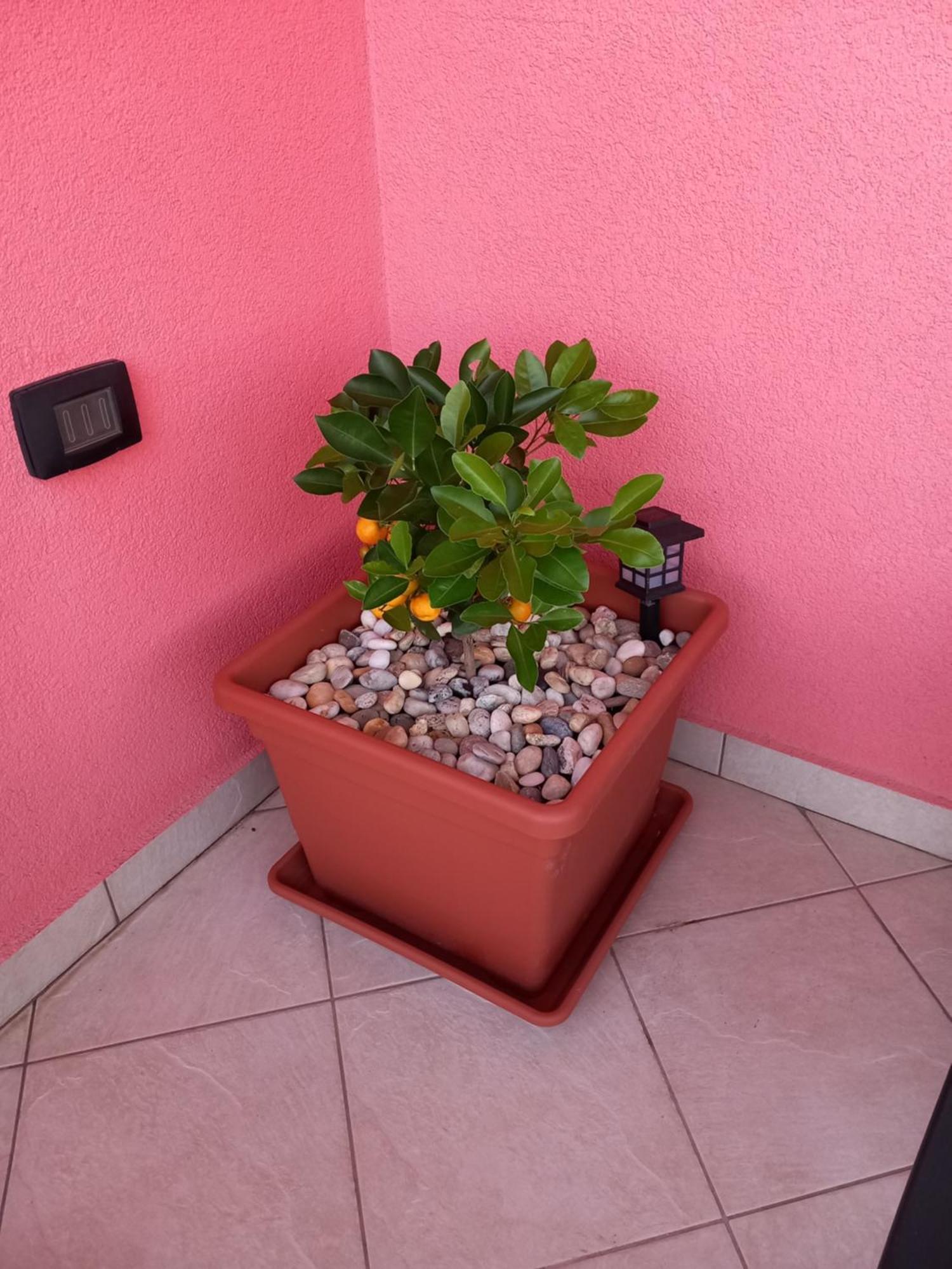 Apartman Barbara S Jacuzzijem Za Dvoje- Rijeka *